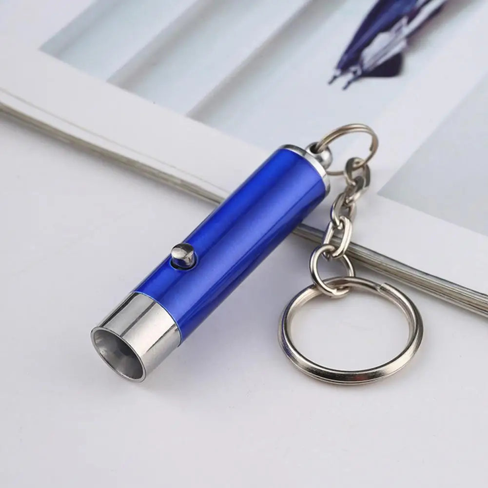 LED UV Flashlight Keychain Mini Ultraviolet Torch UV Black Light Portable Money Detector Torch Light Money Anti-fake Detection