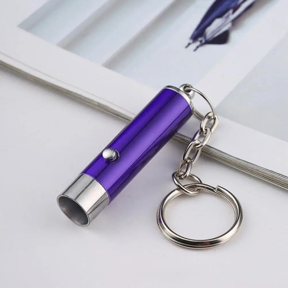 LED UV Flashlight Keychain Mini Ultraviolet Torch UV Black Light Portable Money Detector Torch Light Money Anti-fake Detection