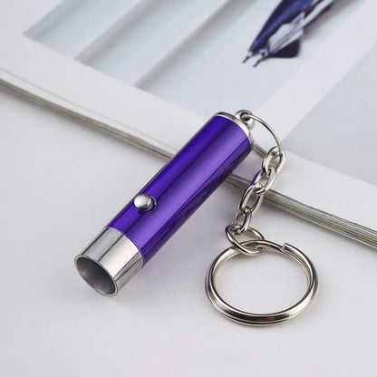 LED UV Flashlight Keychain Mini Ultraviolet Torch UV Black Light Portable Money Detector Torch Light Money Anti-fake Detection