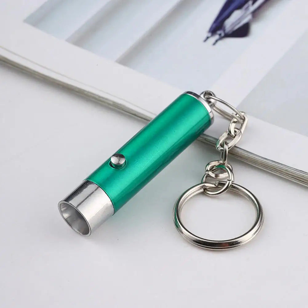 LED UV Flashlight Keychain Mini Ultraviolet Torch UV Black Light Portable Money Detector Torch Light Money Anti-fake Detection