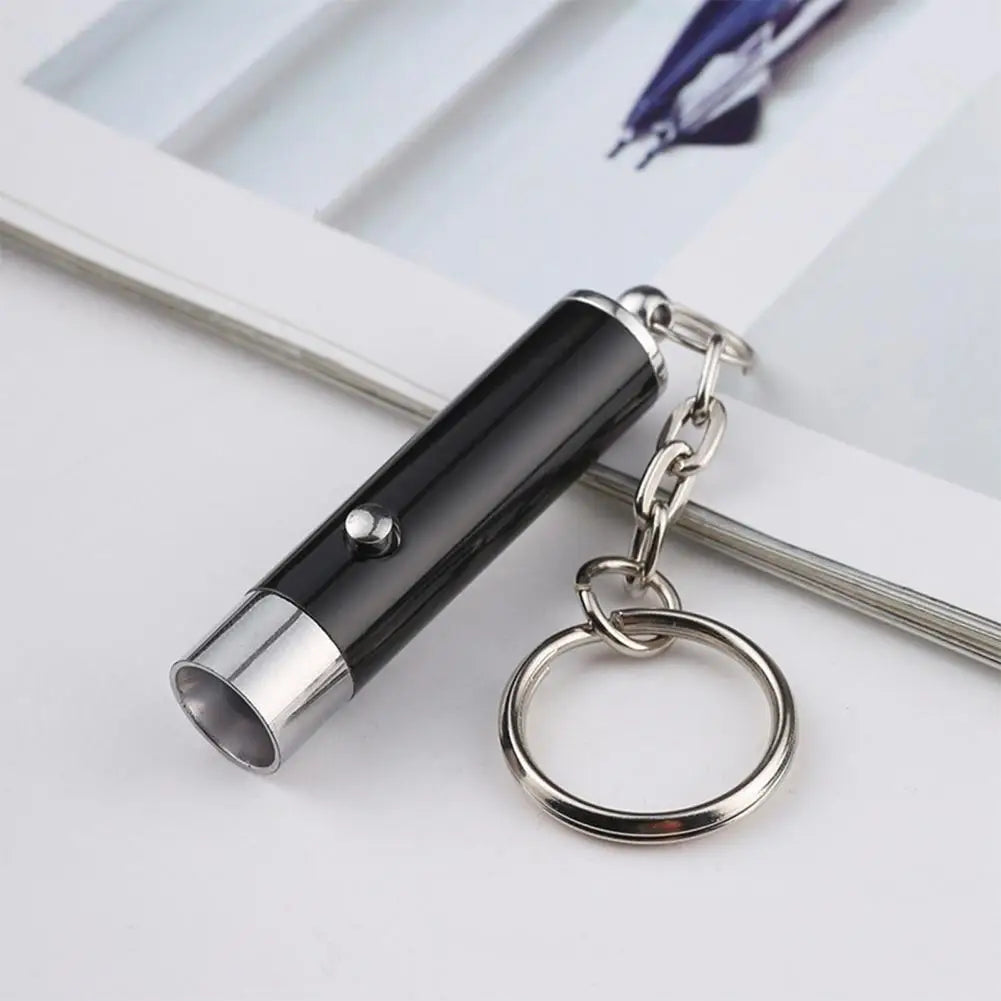 LED UV Flashlight Keychain Mini Ultraviolet Torch UV Black Light Portable Money Detector Torch Light Money Anti-fake Detection