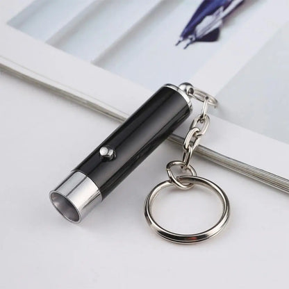 LED UV Flashlight Keychain Mini Ultraviolet Torch UV Black Light Portable Money Detector Torch Light Money Anti-fake Detection