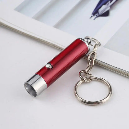 LED UV Flashlight Keychain Mini Ultraviolet Torch UV Black Light Portable Money Detector Torch Light Money Anti-fake Detection