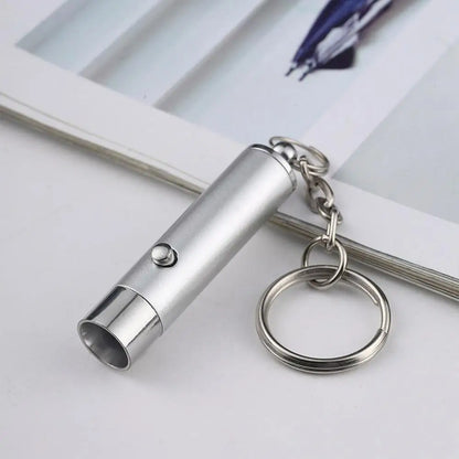 LED UV Flashlight Keychain Mini Ultraviolet Torch UV Black Light Portable Money Detector Torch Light Money Anti-fake Detection